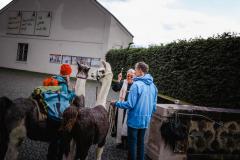 Lamasegnung - Foto: Anna Scherfler