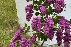 Maiandacht im Salzatal, Foto: Ing. Franz Peter Stadler