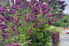 Maiandacht im Salzatal, Foto: Ing. Franz Peter Stadler