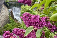 Maiandacht im Salzatal, Foto: Ing. Franz Peter Stadler