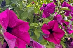 Maiandacht im Salzatal, Foto: Ing. Franz Peter Stadler