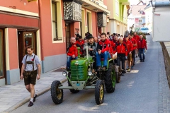 Maibaum 2017 - Foto: Mariazell Online