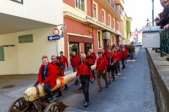 Maibaum 2017 - Foto: Mariazell Online