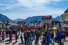 Maibaum 2017 - Foto: Mariazell Online