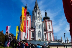 Maibaum 2017 - Foto: Mariazell Online