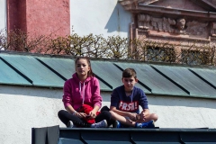 Maibaum 2017 - Foto: Mariazell Online