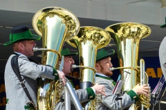 Maibaum 2017 - Foto: Mariazell Online