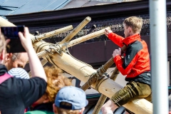 Maibaum 2017 - Foto: Mariazell Online