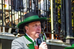 Maibaum 2017 - Foto: Mariazell Online