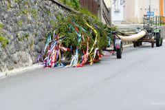 Maibaumaufstellen 2024 in Mariazell - Foto: Mariazell Online