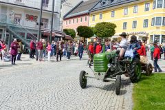 Maibaumaufstellen 2024 in Mariazell - Foto: Mariazell Online