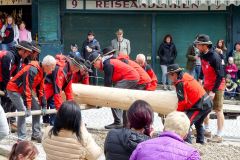 Maibaumaufstellen 2022 - Foto: Mariazell Online