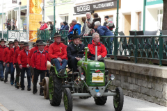 Maibaumaufstellen 2019 - Foto: Mariazell Online