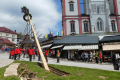 Maibaumaufstellen 2019 - Foto: Mariazell Online
