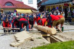 Maibaumaufstellen 2023, Foto: Mariazell Online