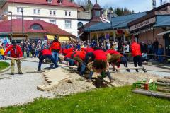 Maibaumaufstellen 2023, Foto: Mariazell Online