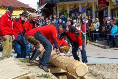 Maibaumaufstellen 2023, Foto: Mariazell Online