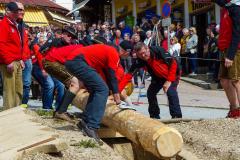 Maibaumaufstellen 2023, Foto: Mariazell Online