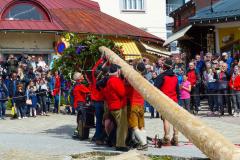 Maibaumaufstellen 2023, Foto: Mariazell Online