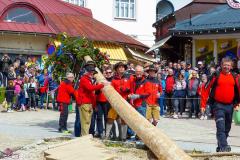 Maibaumaufstellen 2023, Foto: Mariazell Online