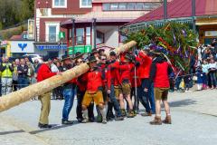 Maibaumaufstellen 2023, Foto: Mariazell Online