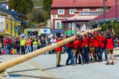 Maibaumaufstellen 2023, Foto: Mariazell Online