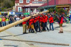 Maibaumaufstellen 2023, Foto: Mariazell Online