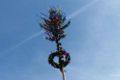 Maibaumaufstellen 2023, Foto: Mariazell Online