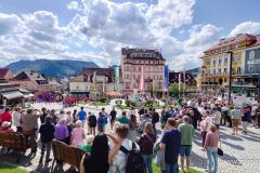 Maibaumaufstellen 2025 - Foto: Mariazell Online, Werner Girrer Maibaumaufstellen 2025 - Foto: Mariazell Online, Werner Girrer