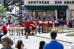 Maibaumaufstellen 2025 - Foto: Mariazell Online, Werner Girrer Maibaumaufstellen 2025 - Foto: Mariazell Online, Werner Girrer