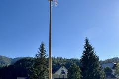 Maibaumumschneiden beim Franzbauer - Foto: Ing. Franz Peter Stadler