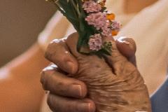 Maria Himmelfahrt in Mariazell, Foto: Anna Scherfler