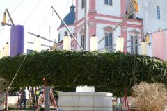 Mariazeller Advent - Foto: Mariazell Online