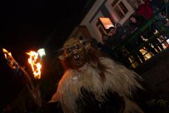 Mariazeller Krampuslauf, Foto: Katja Girrer