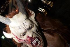 Mariazeller Krampuslauf, Foto: Katja Girrer