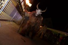 Mariazeller Krampuslauf, Foto: Katja Girrer