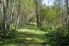Rundwanderweg Rundwanderweg