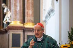 Heilige Messe mit Kardinal Schönborn - Foto: Anna Scherfler