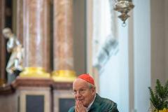 Heilige Messe mit Kardinal Schönborn - Foto: Anna Scherfler