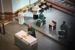 Heilige Messe mit Kardinal Schönborn - Foto: Anna Scherfler