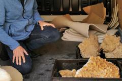 Steine und Mineralien - Foto: Gery Schödl