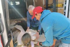 Steine und Mineralien - Foto: Gery Schödl