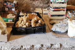 Steine und Mineralien - Foto: Gery Schödl