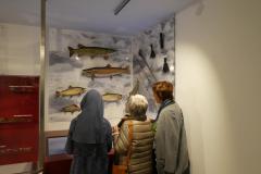 Festakt zur Eröffnung des neuen Naturkundemuseums - Foto: Mariazell Online