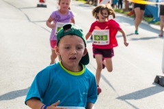 Erlaufsee NightRun 2018 - Foto: Mariazell Online