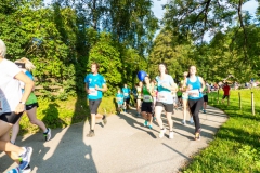 Erlaufsee NightRun 2018 - Foto: Mariazell Online