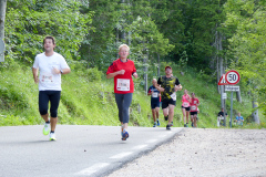 Night-Run-2019-439