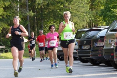 Night Run 2017 - Foto: Mariazell Online