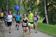 Erlaufsee NightRun 2018 - Foto: Reini Weber