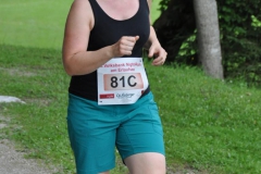 Erlaufsee NightRun 2018 - Foto: Reini Weber